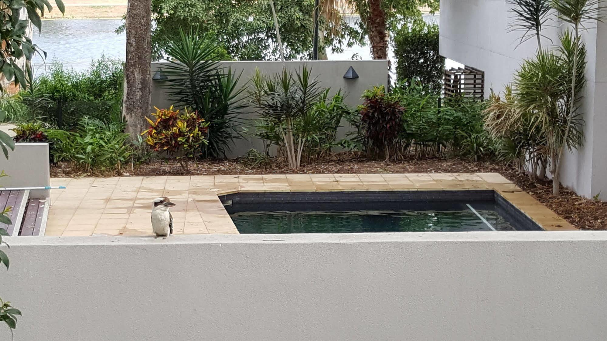 טאונסביל Jacana Apartments מראה חיצוני תמונה